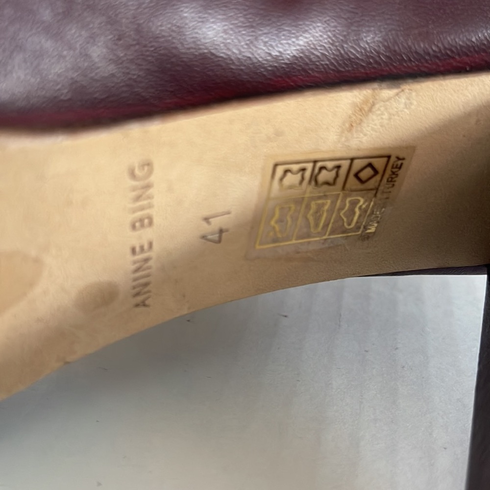 Anine bing Frances pointed toe boot - Picture 9 of 9